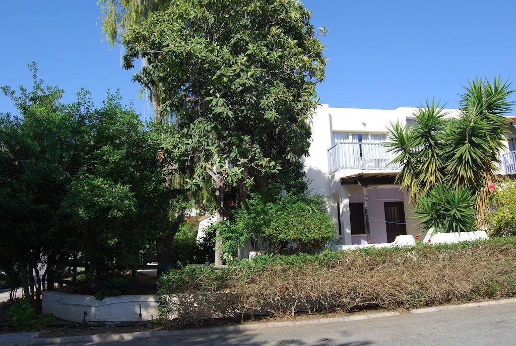 Margarita 110 Apartment Paphos Phòng bức ảnh